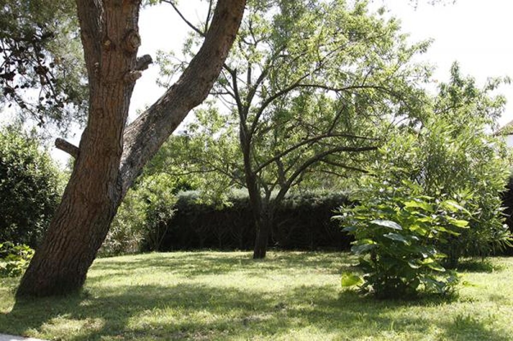 Image 3812756 - 4