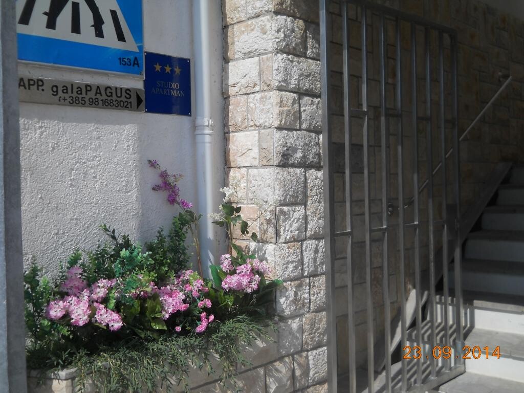 Image 3814029 - 16