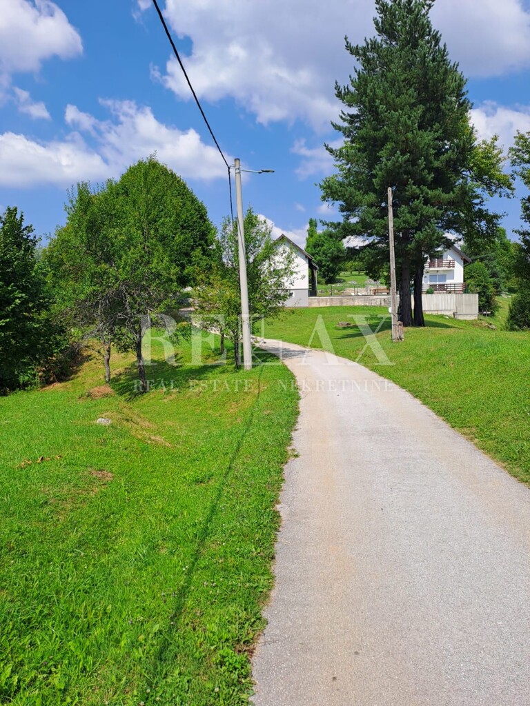 Image 11