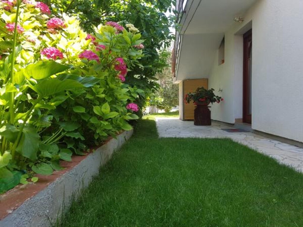 Image 3838715 - 15