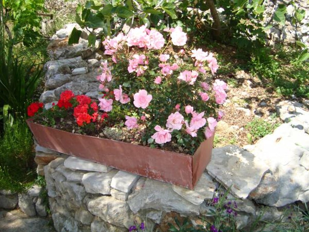 Image 3814051 - 10