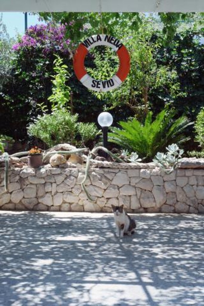 Image 3811528 - 2
