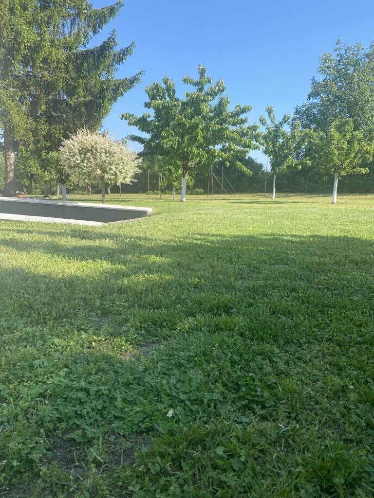 Image 14