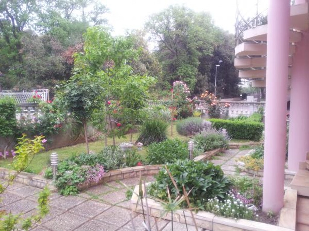 Image 3812605 - 8