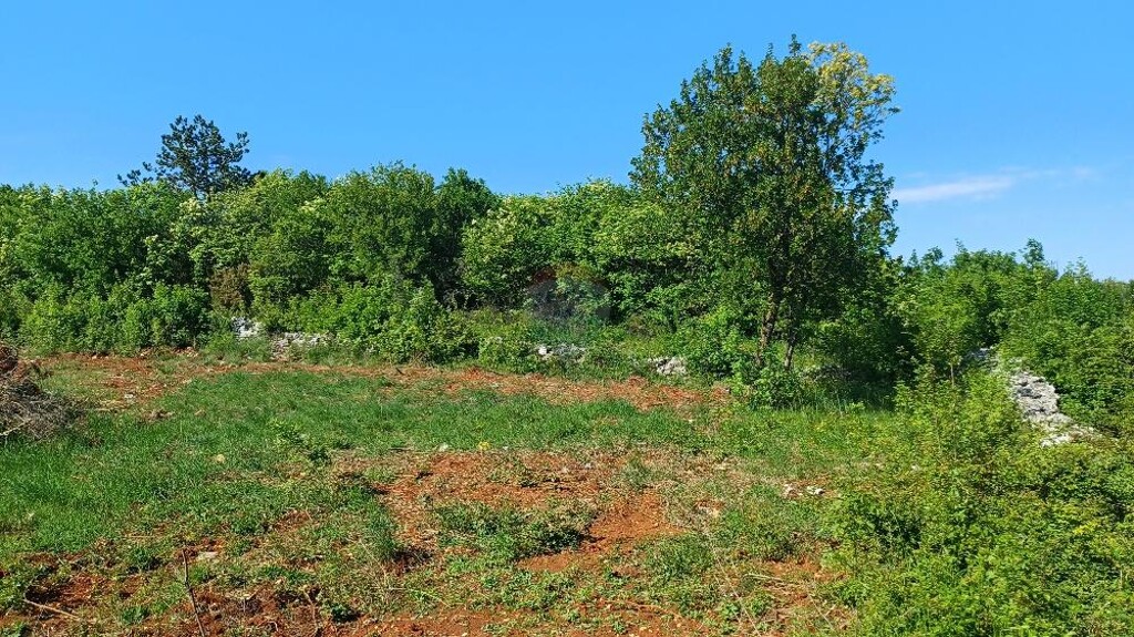 Image 13