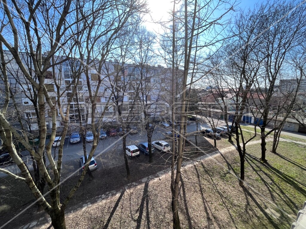 Image 9