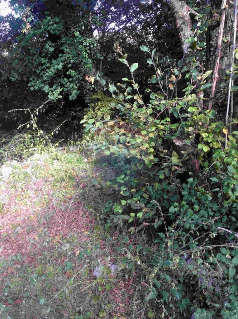 Image 5410954 - 4