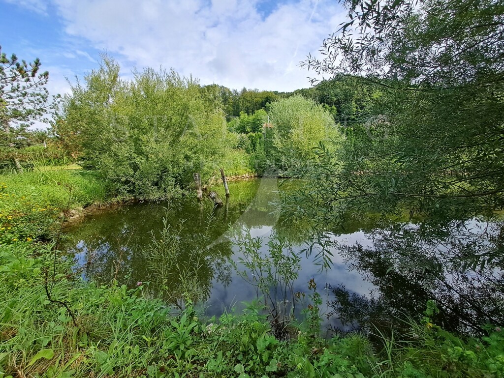 Image 16