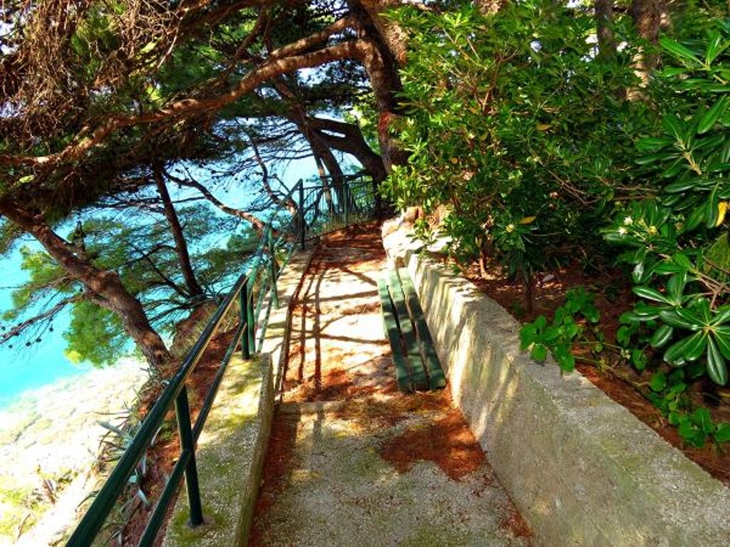 Image 3813546 - 17
