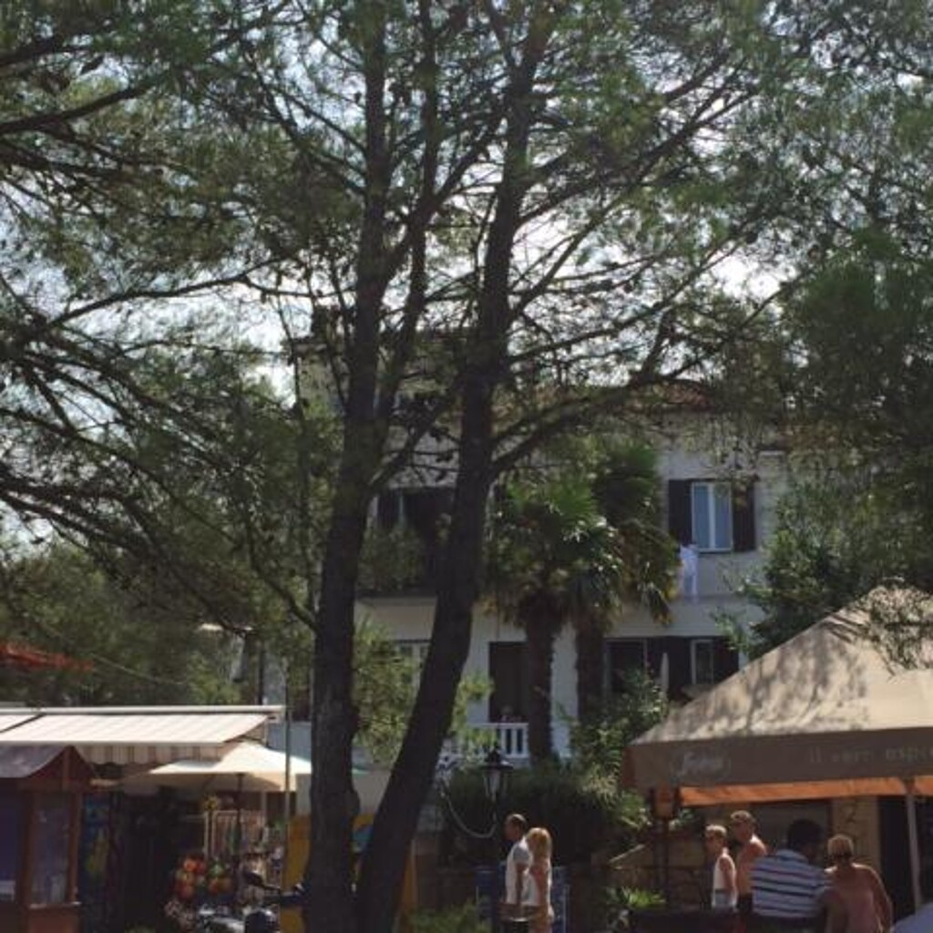 Image 3838602 - 5