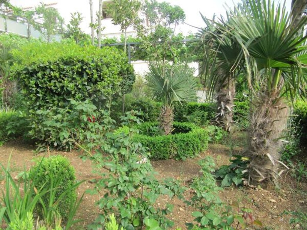 Image 3838640 - 3