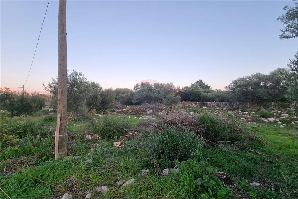Image 13