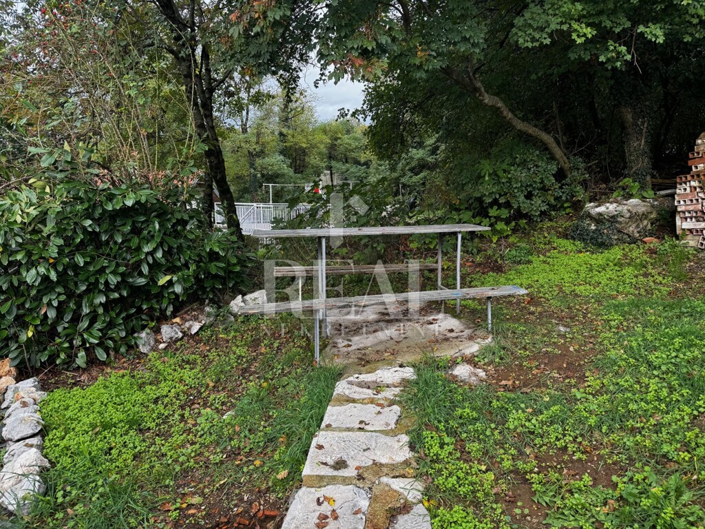 Image 17
