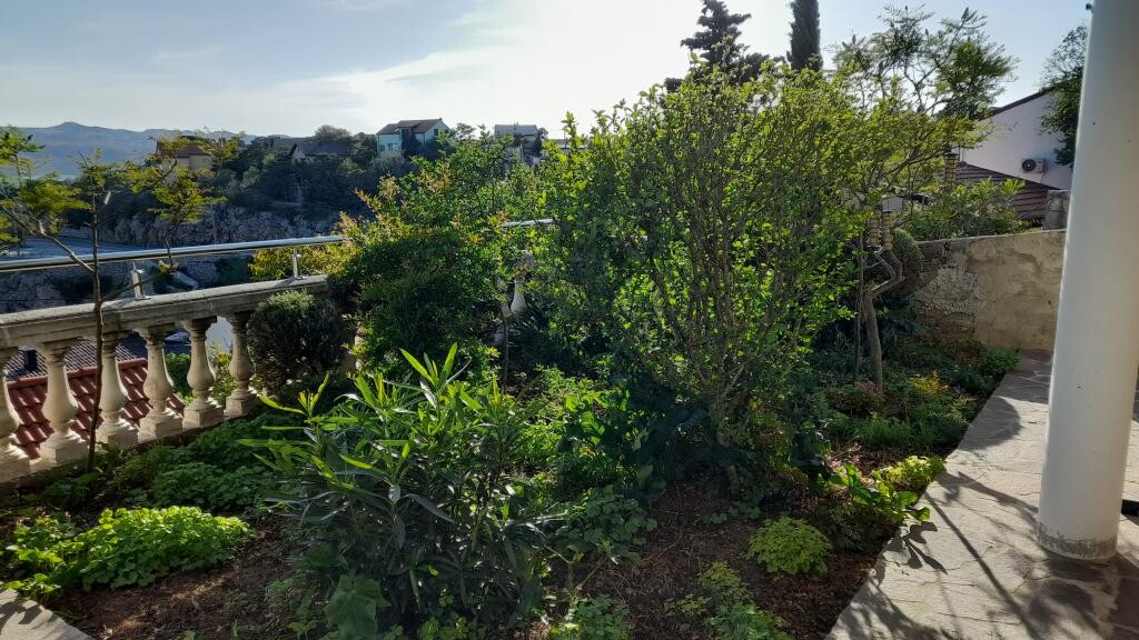 Image 3815321 - 8