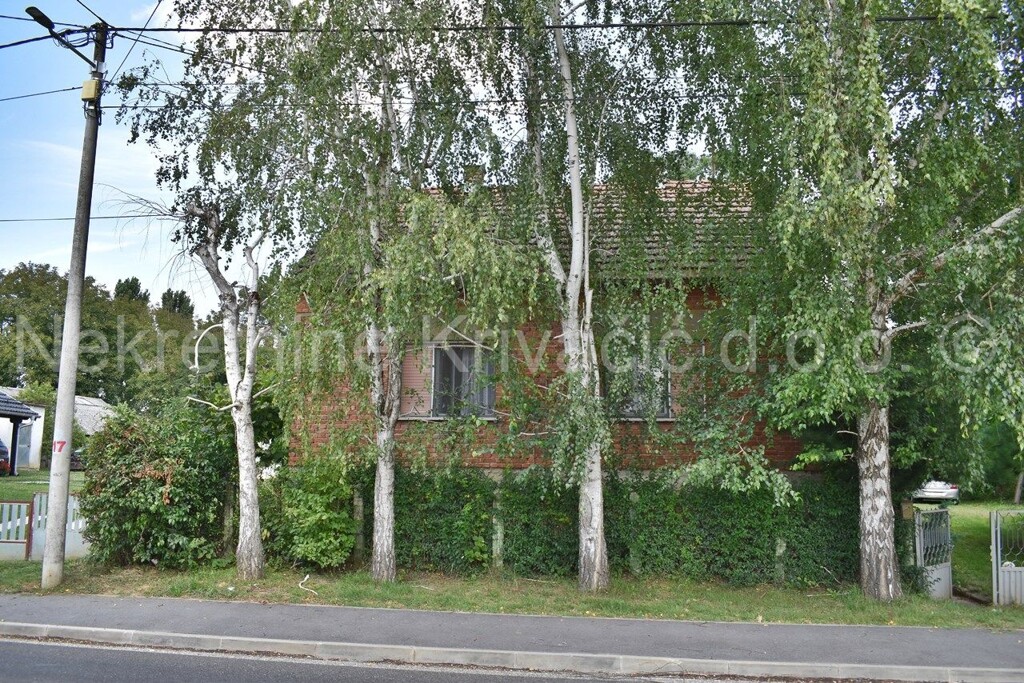 Image 5946076 - 2