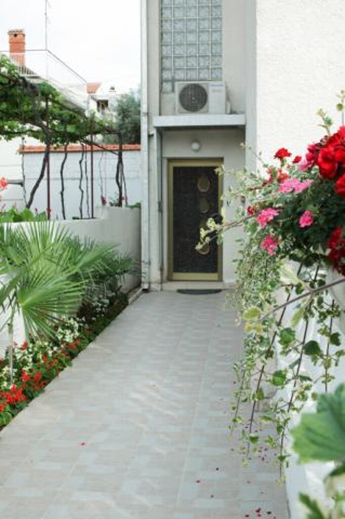 Image 3811596 - 2