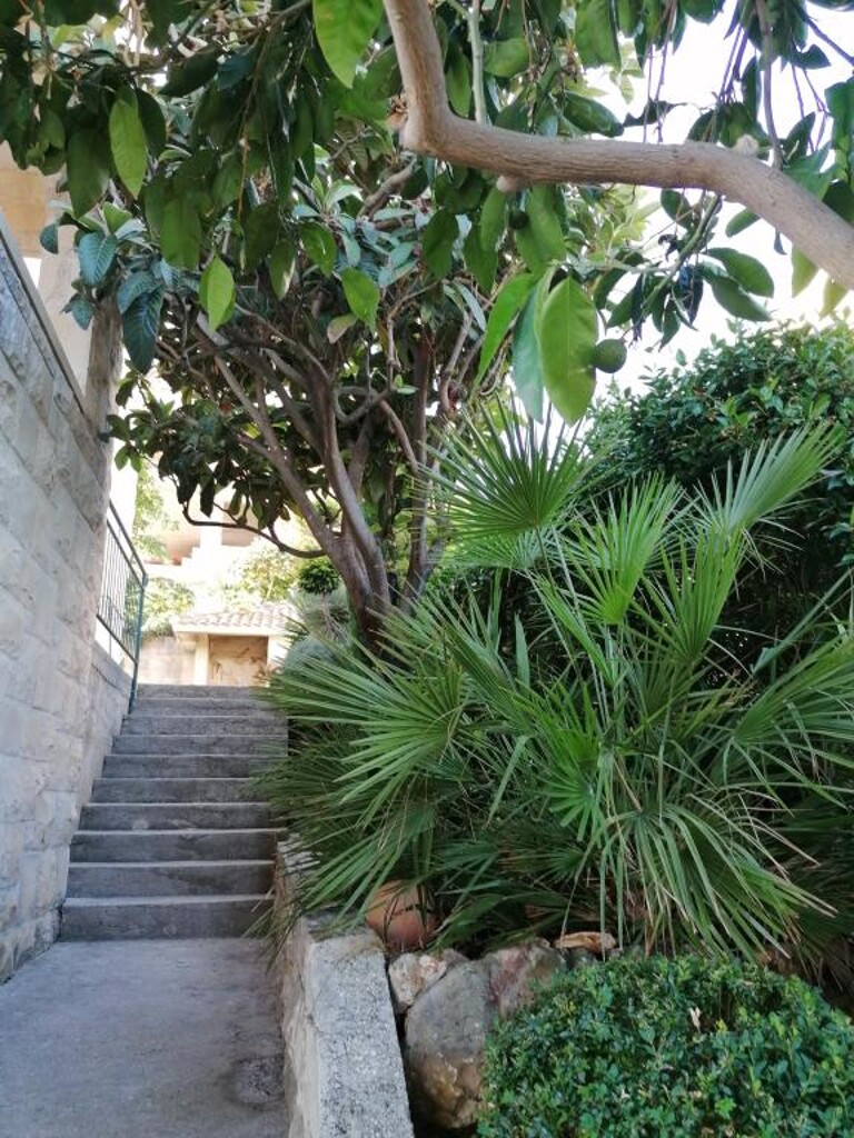Image 3831978 - 20