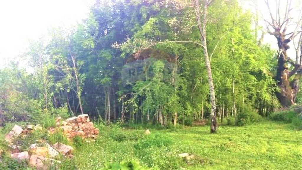Image 5416097 - 4