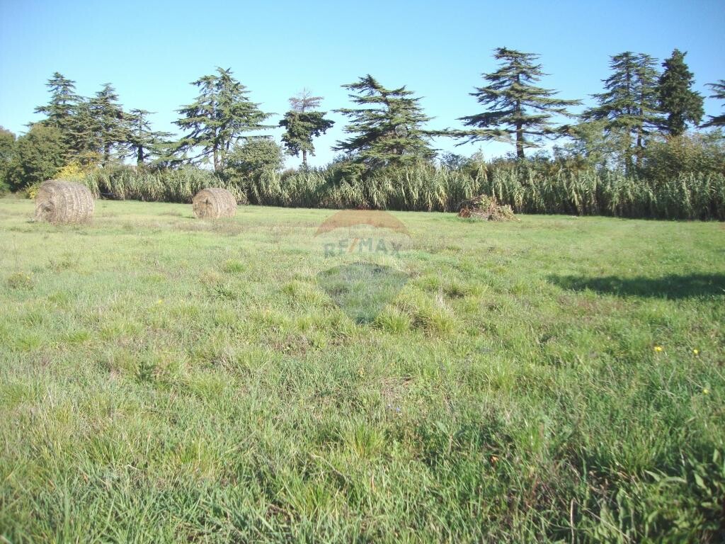 Image 5410625 - 5