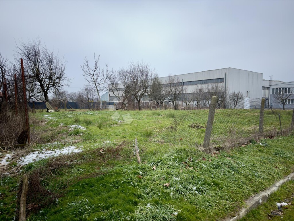 Image 17