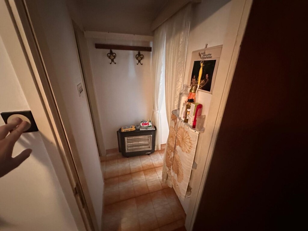 Image 19