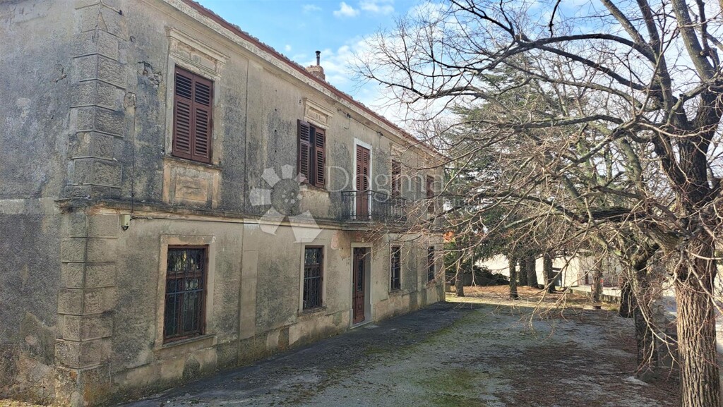 Image 19