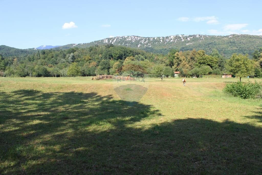 Image 5410208 - 2