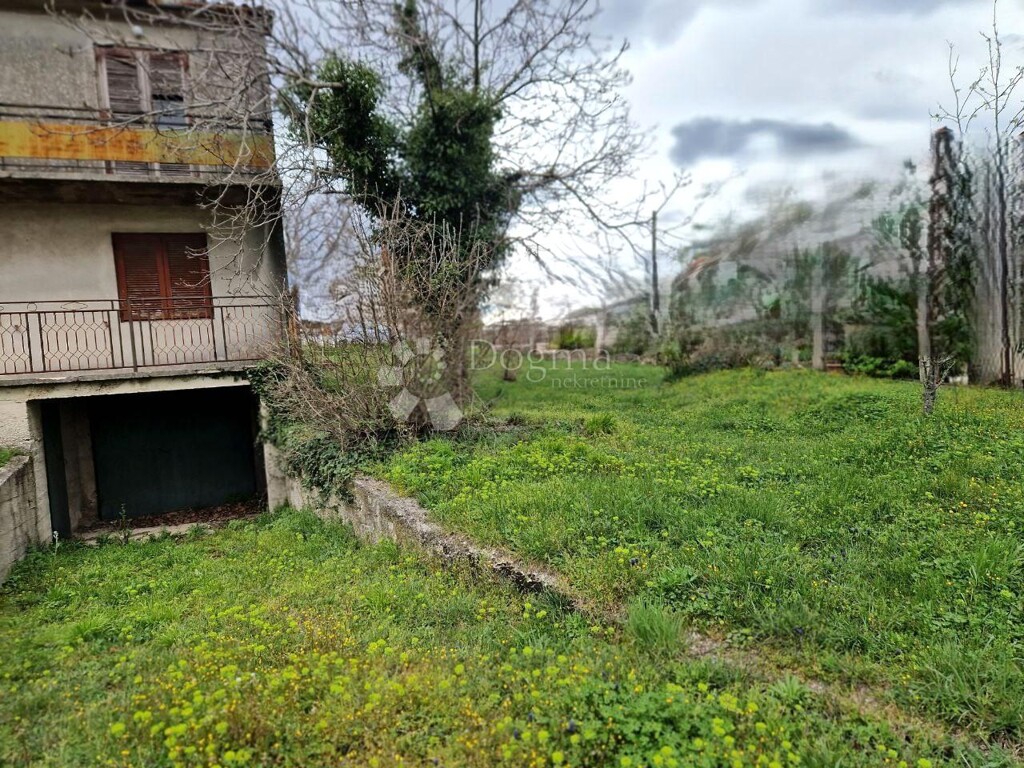 Image 15