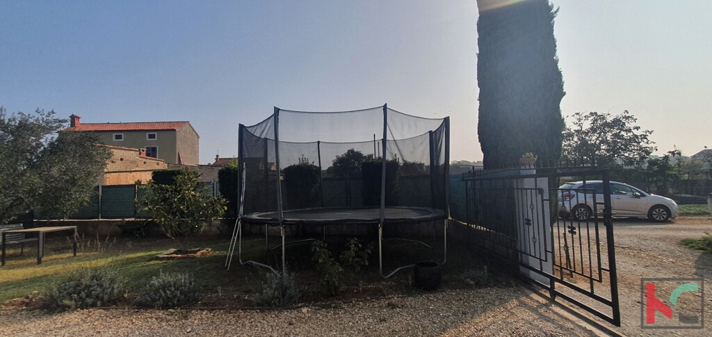 Image 19