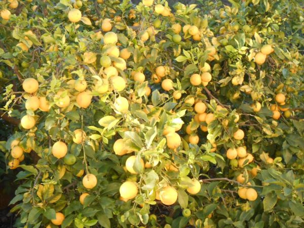 Image 3810670 - 5