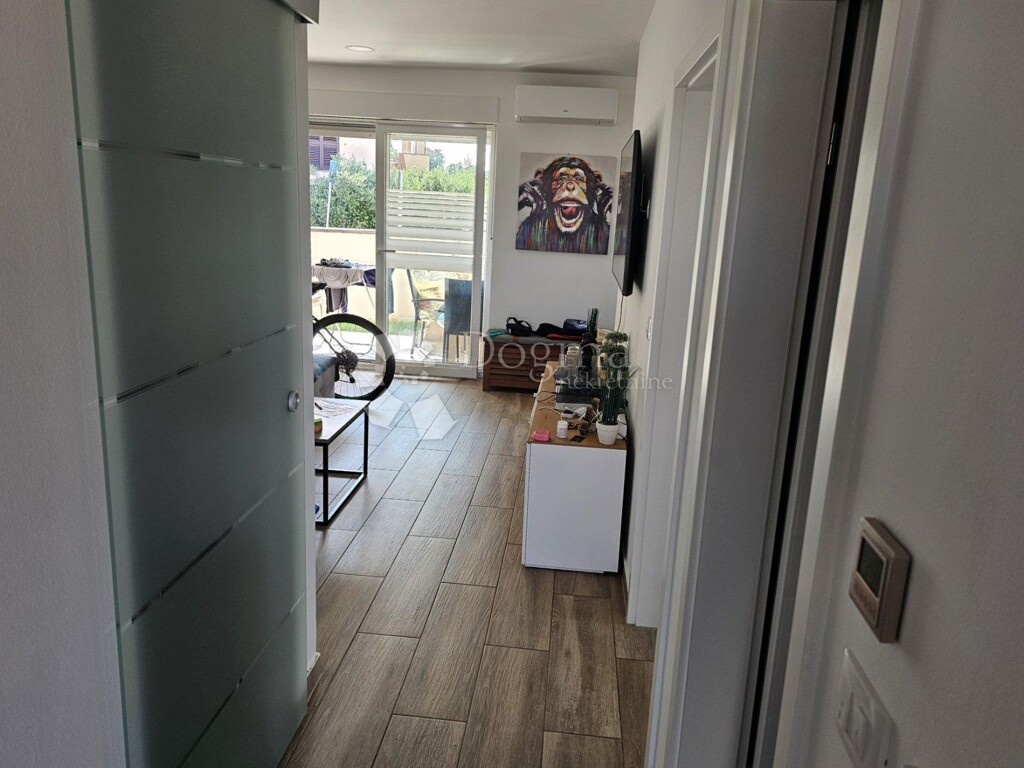 Image 21