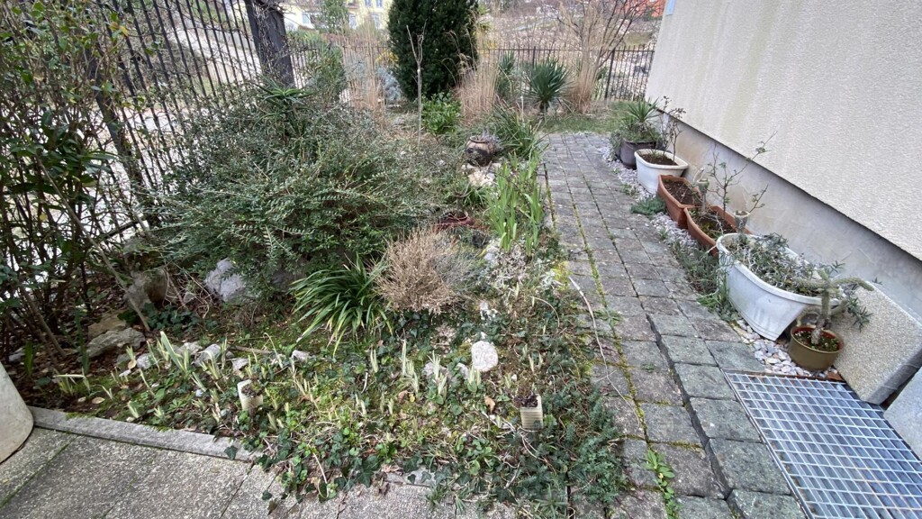 Image 5484002 - 10