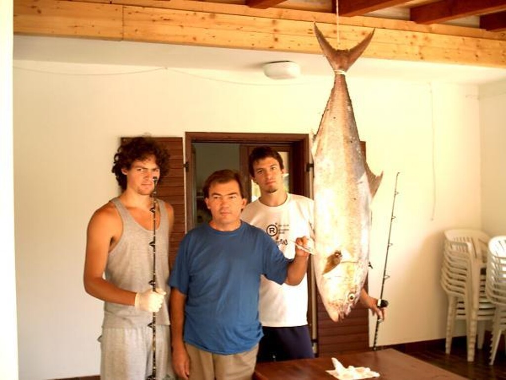 Image 3812274 - 4
