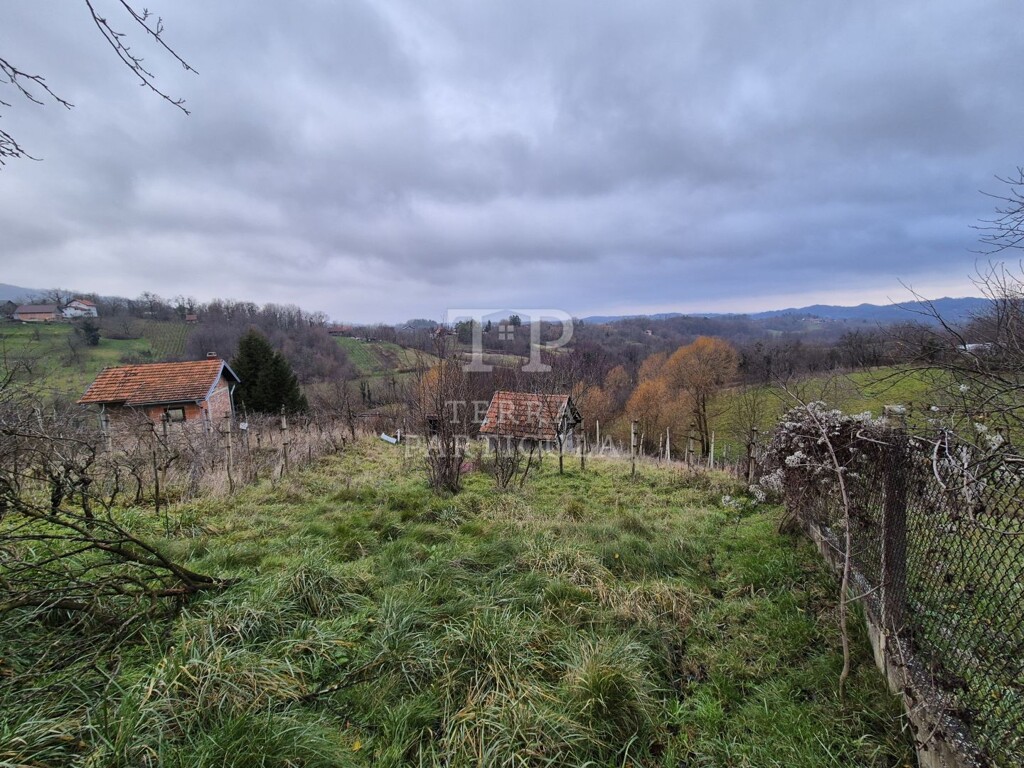 Image 20