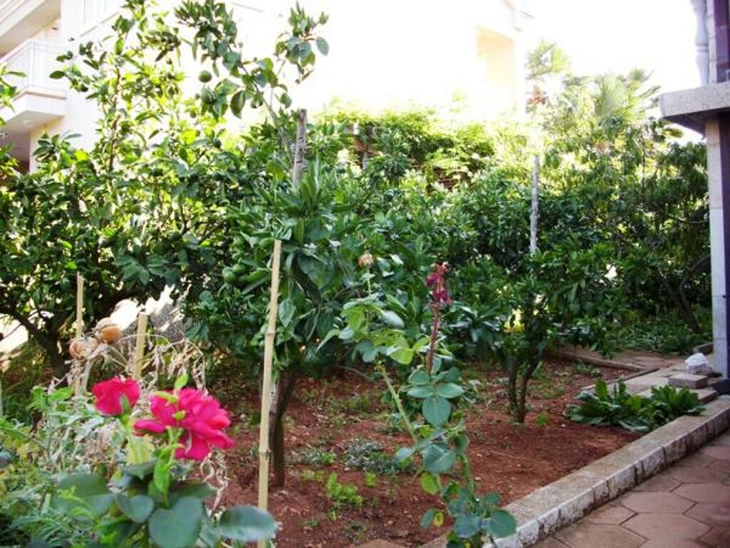 Image 3838756 - 7