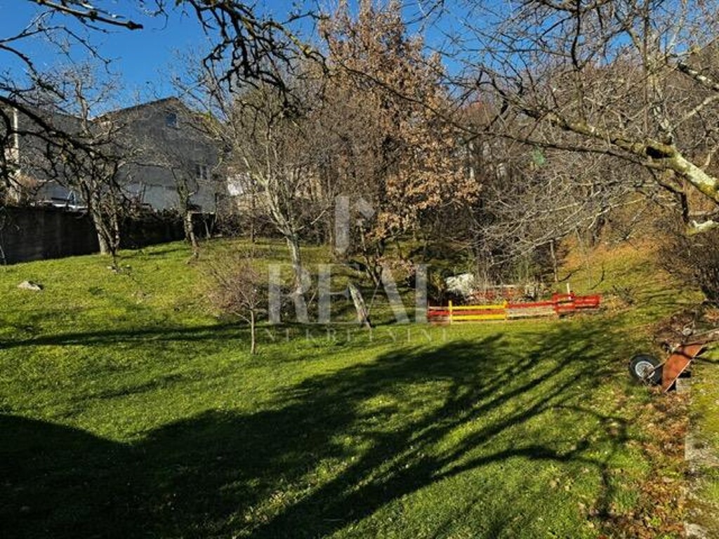 Image 6201887 - 8