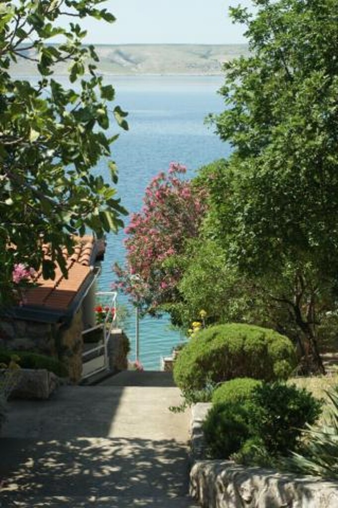 Image 3810756 - 3