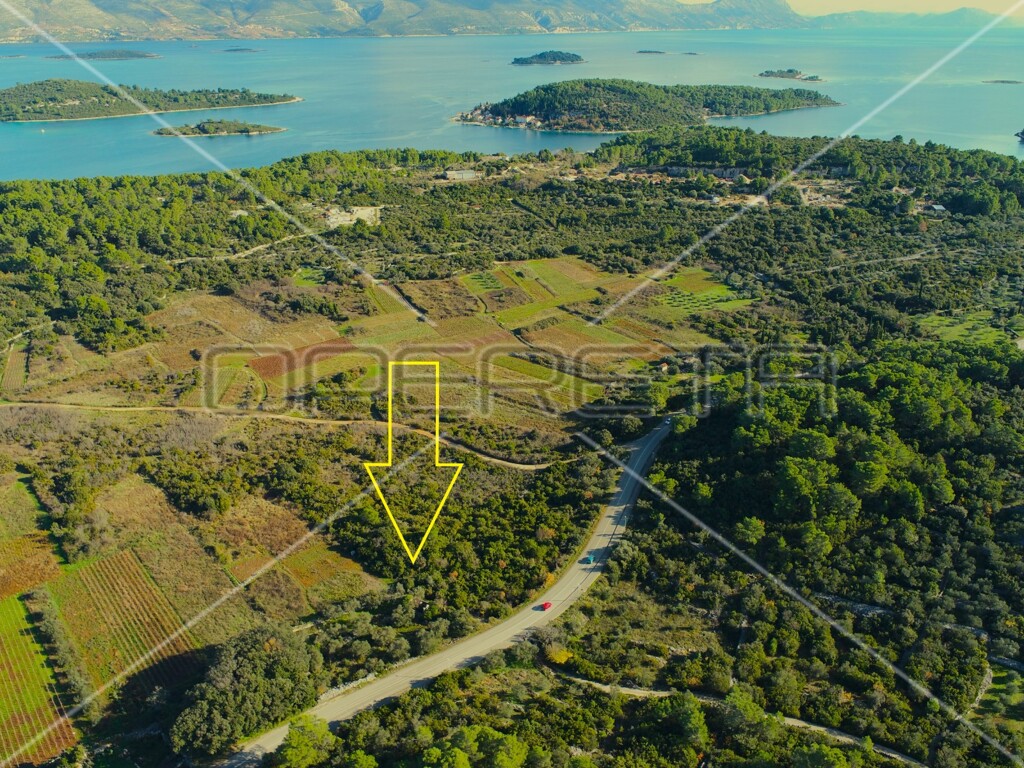 Image 6158224 - 16