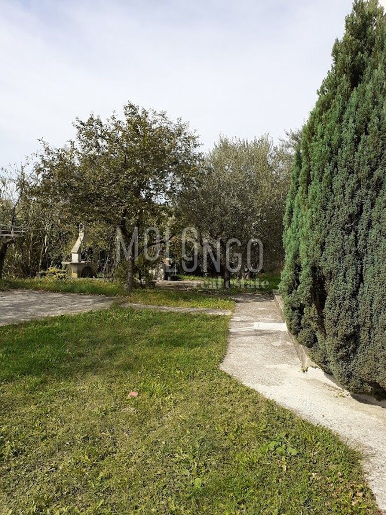 Image 6142125 - 5