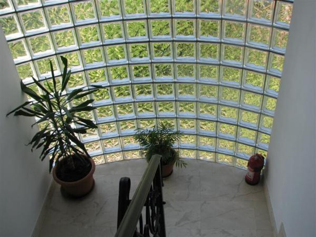 Image 3838500 - 5