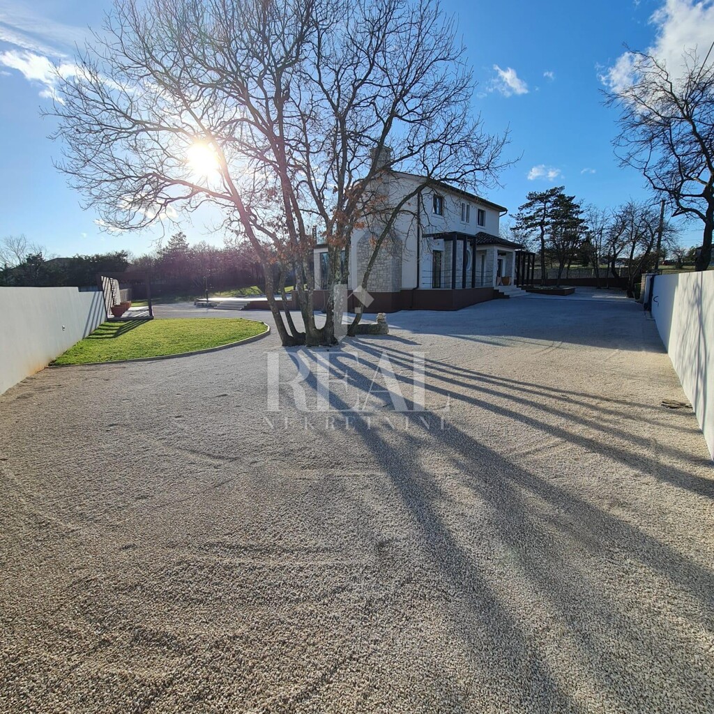 Image 19
