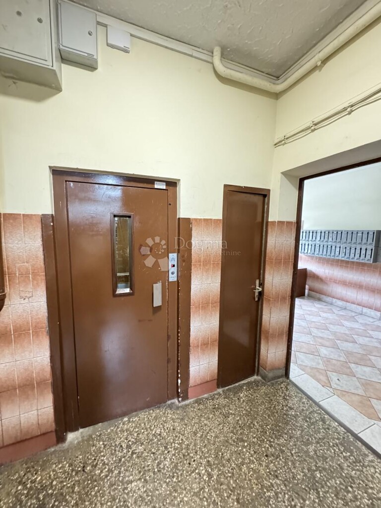 Image 19