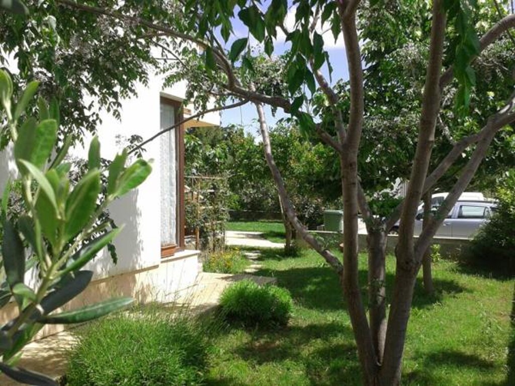 Image 5381088 - 4