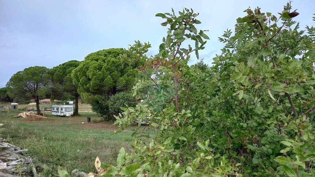 Image 5473481 - 7