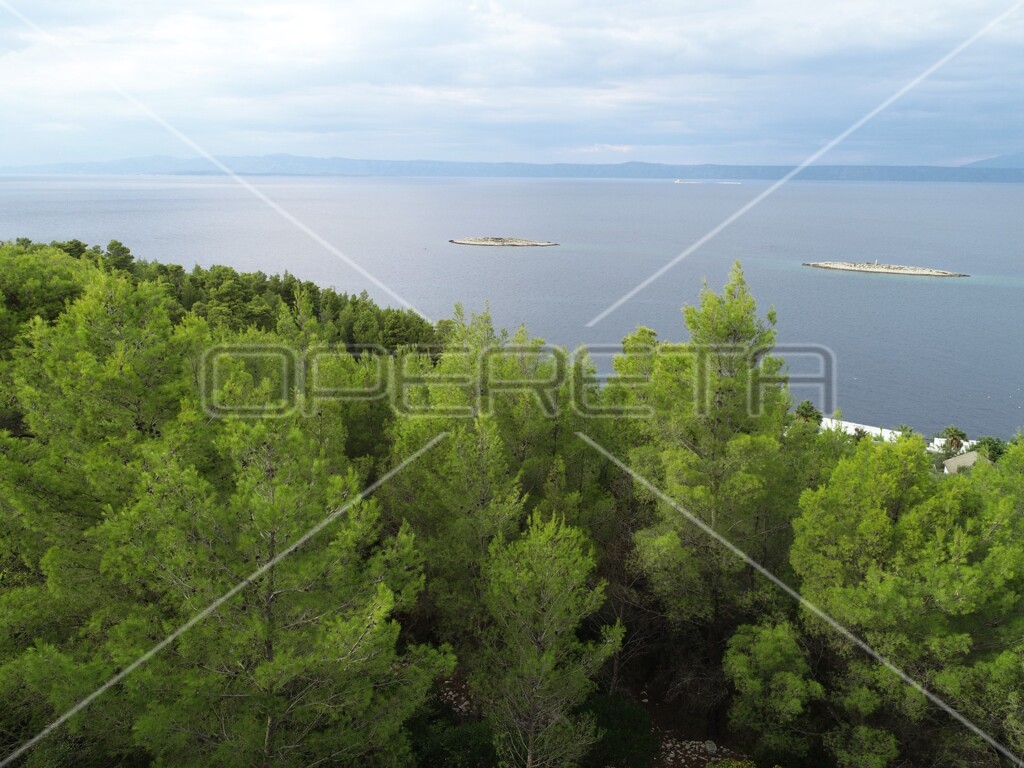 Image 21