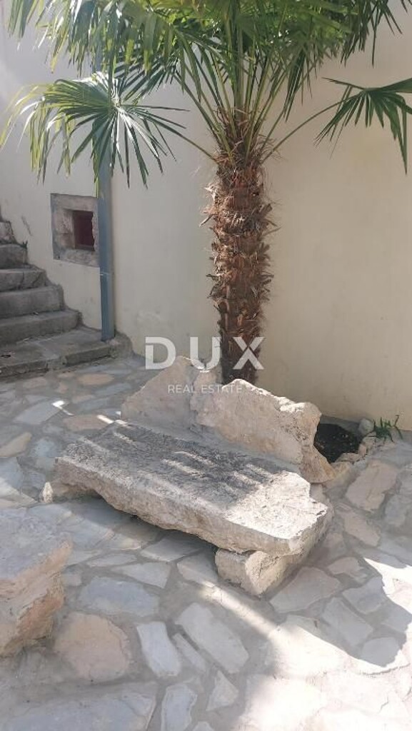 Image 15