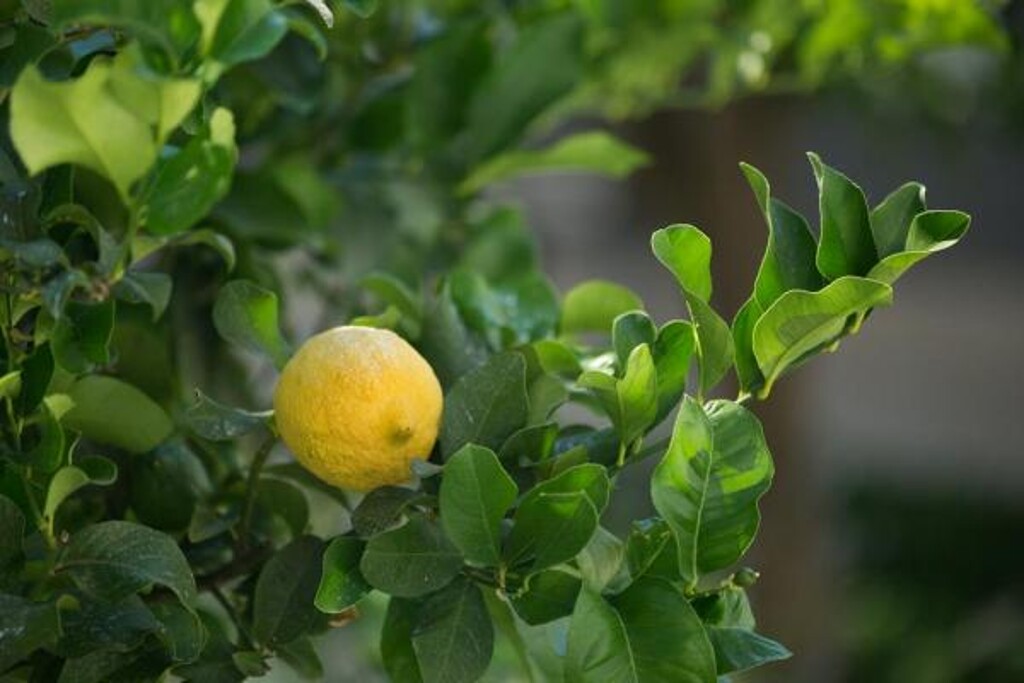 Image 3838616 - 19