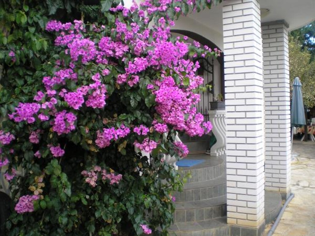 Image 3813434 - 3