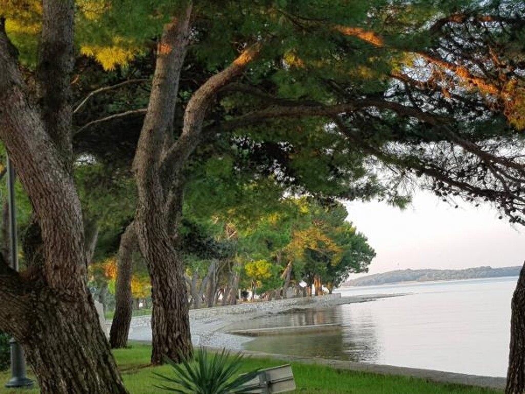 Image 3815115 - 33