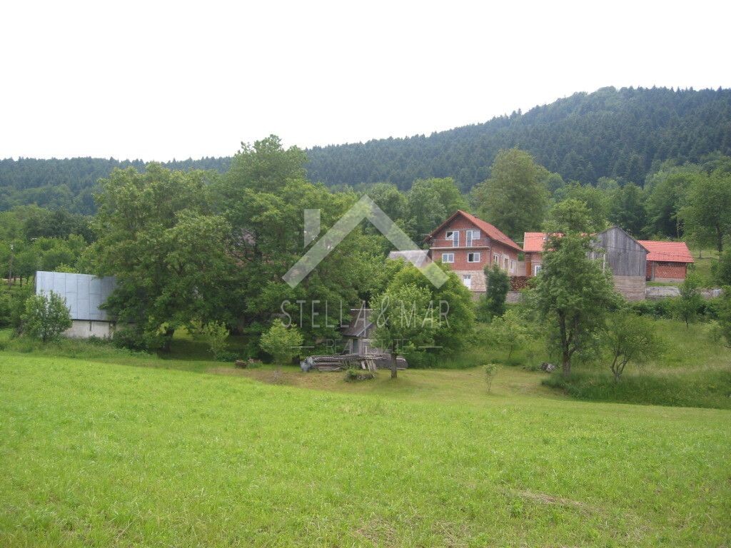 Image 5195037 - 2